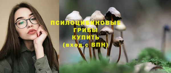 соль курить ск Верея