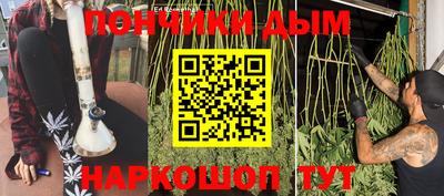 PSILOCYBIN Донской