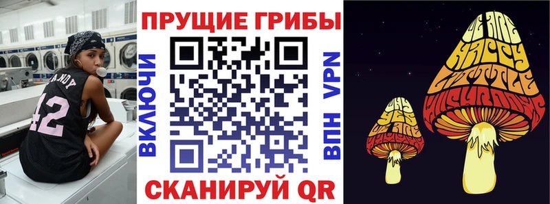 дарк нет состав Унеча Галлюциногенные грибы мицелий