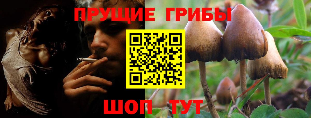 Псилоцибиновые грибы GOLDEN TEACHER Унеча