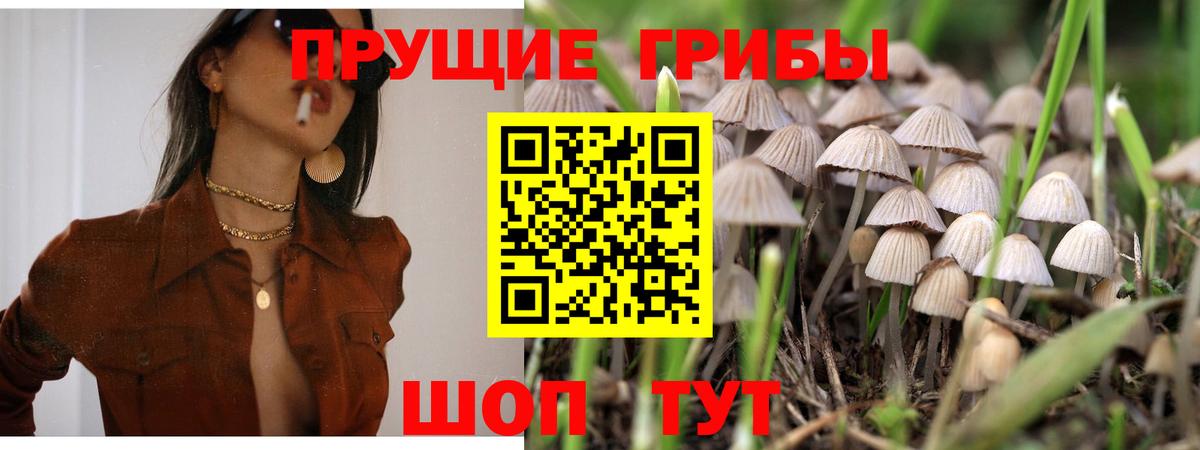 Унеча  Галлюциногенные грибы Psilocybe  Вход с VPN  Галлюциногенные грибы MAGIC MUSHROOMS 